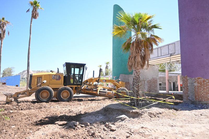 Gobierno De Sonora Y Grupos Ambientalistas Trabajan De Manera