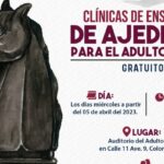 Ofrecerá Instituto del Deporte “Taller de Ajedrez” gratuito