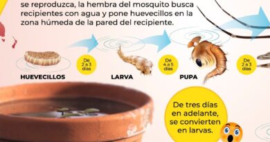 Sonora con menos casos de dengue en México