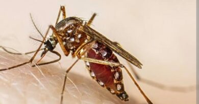 Niño delicado por dengue