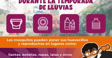 Ante la llegada de las lluvias, el Gobierno de Sonora refuerza acciones para prevenir el dengue